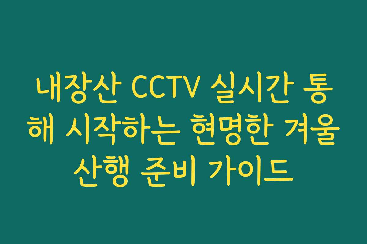 내장산 CCTV 실시간 통해 시작하는 현명한 겨울산행 준비 가이드