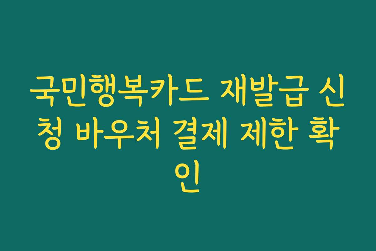 국민행복카드 재발급 신청 바우처 결제 제한 확인