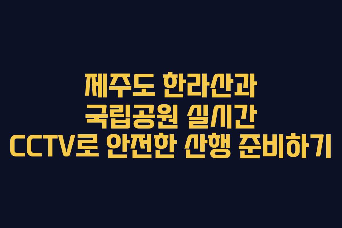 제주도 한라산과 국립공원 실시간 CCTV로 안전한 산행 준비하기