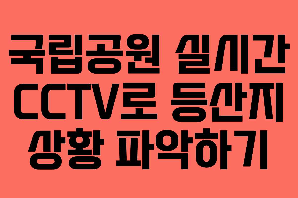 국립공원 실시간 CCTV로 등산지 상황 파악하기