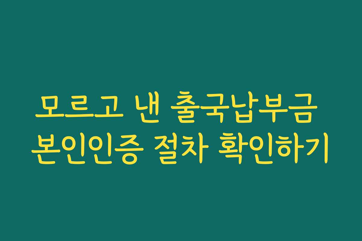 모르고 낸 출국납부금 본인인증 절차 확인하기
