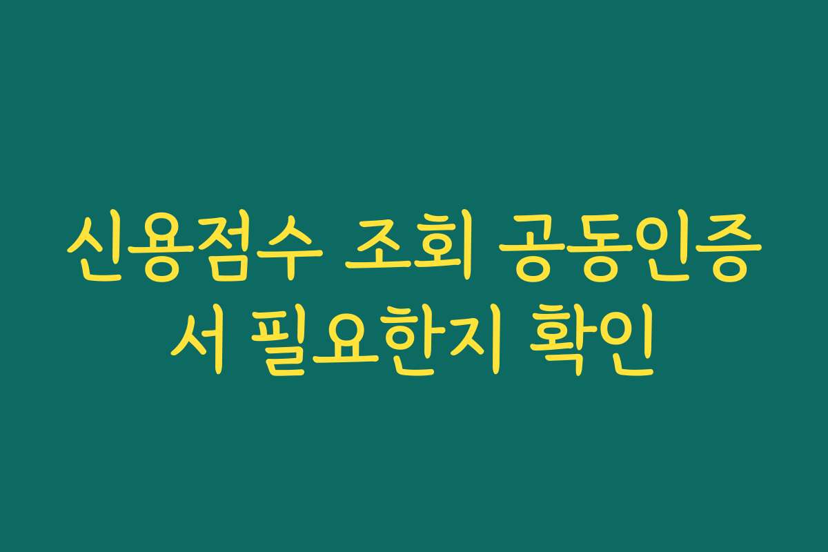 신용점수 조회 공동인증서 필요한지 확인