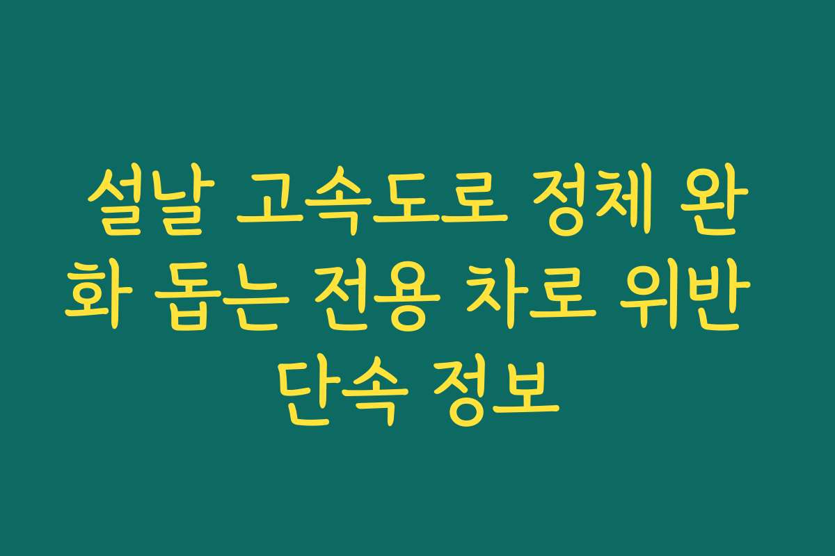 설날 고속도로 정체 완화 돕는 전용 차로 위반 단속 정보