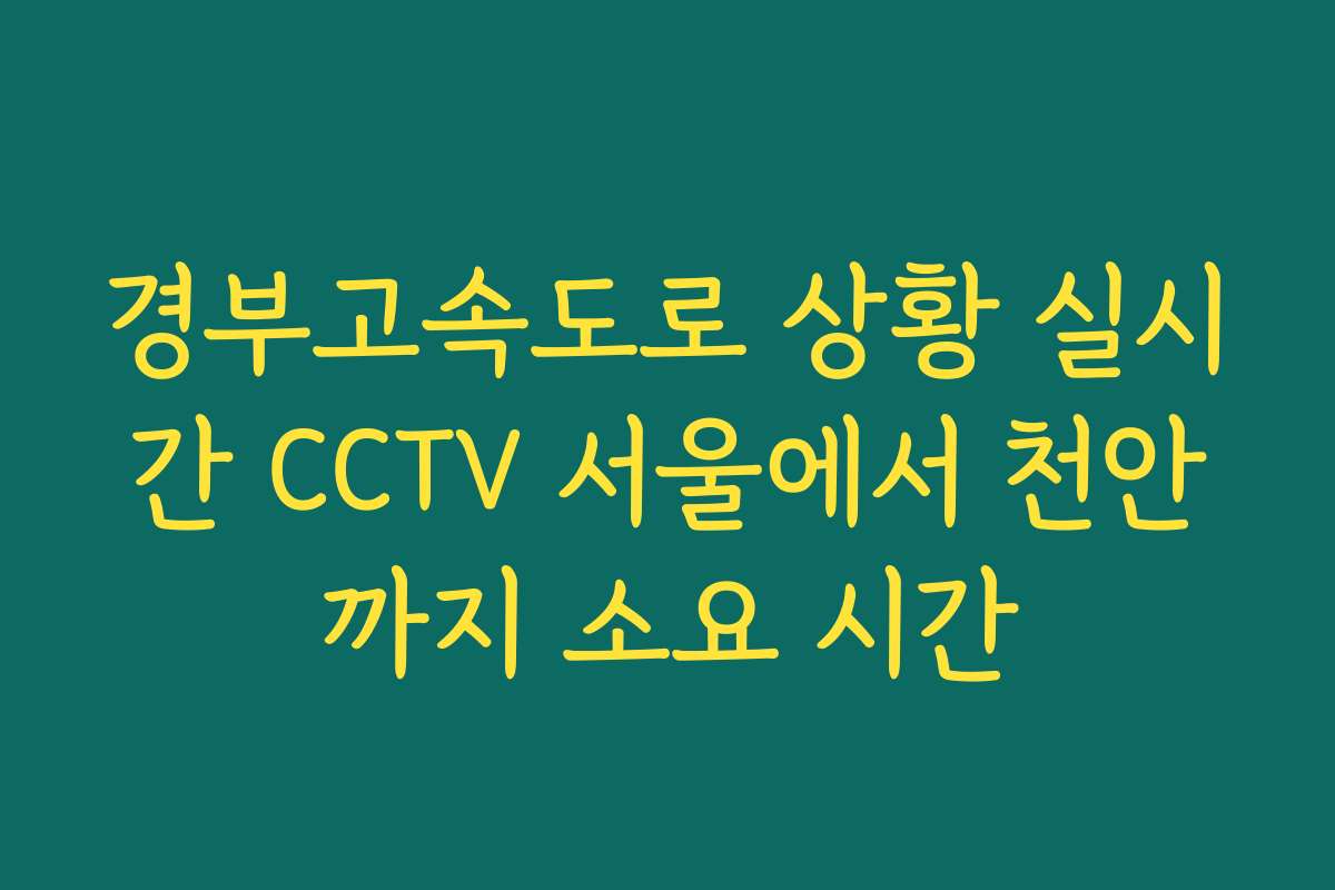 경부고속도로 상황 실시간 CCTV 서울에서 천안까지 소요 시간 경부고속도로 상황 실시간 CCTV 서울에서 천안까지 소요 시간