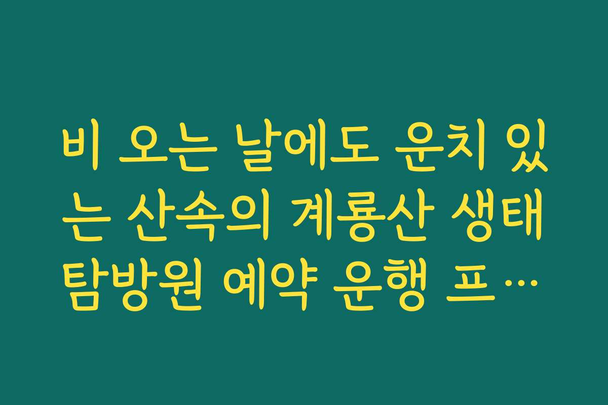 비 오는 날에도 운치 있는 산속의 계룡산 생태탐방원 예약 운행 프로그램 비 오는 날에도 운치 있는 산속의 계룡산 생태탐방원 예약 운행 프로그램