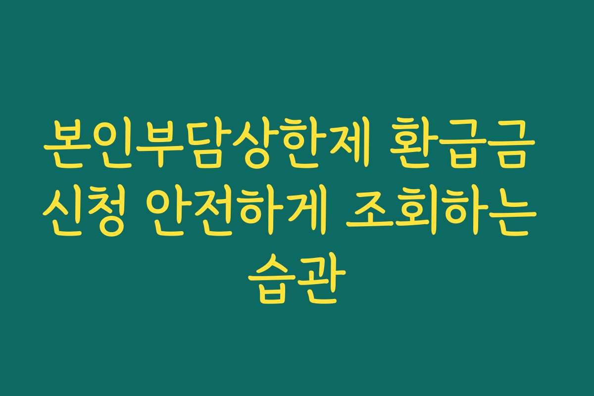 본인부담상한제 환급금 신청 안전하게 조회하는 습관