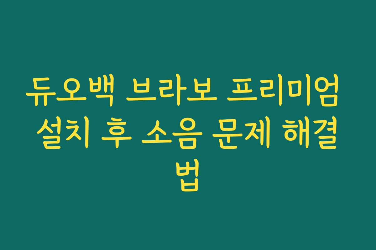 듀오백 브라보 프리미엄 설치 후 소음 문제 해결법