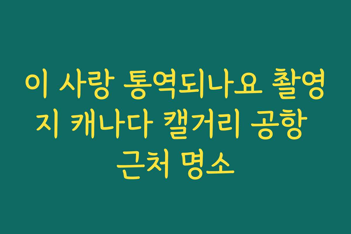 이 사랑 통역되나요 촬영지 캐나다 캘거리 공항 근처 명소 이 사랑 통역되나요 촬영지 캐나다 캘거리 공항 근처 명소