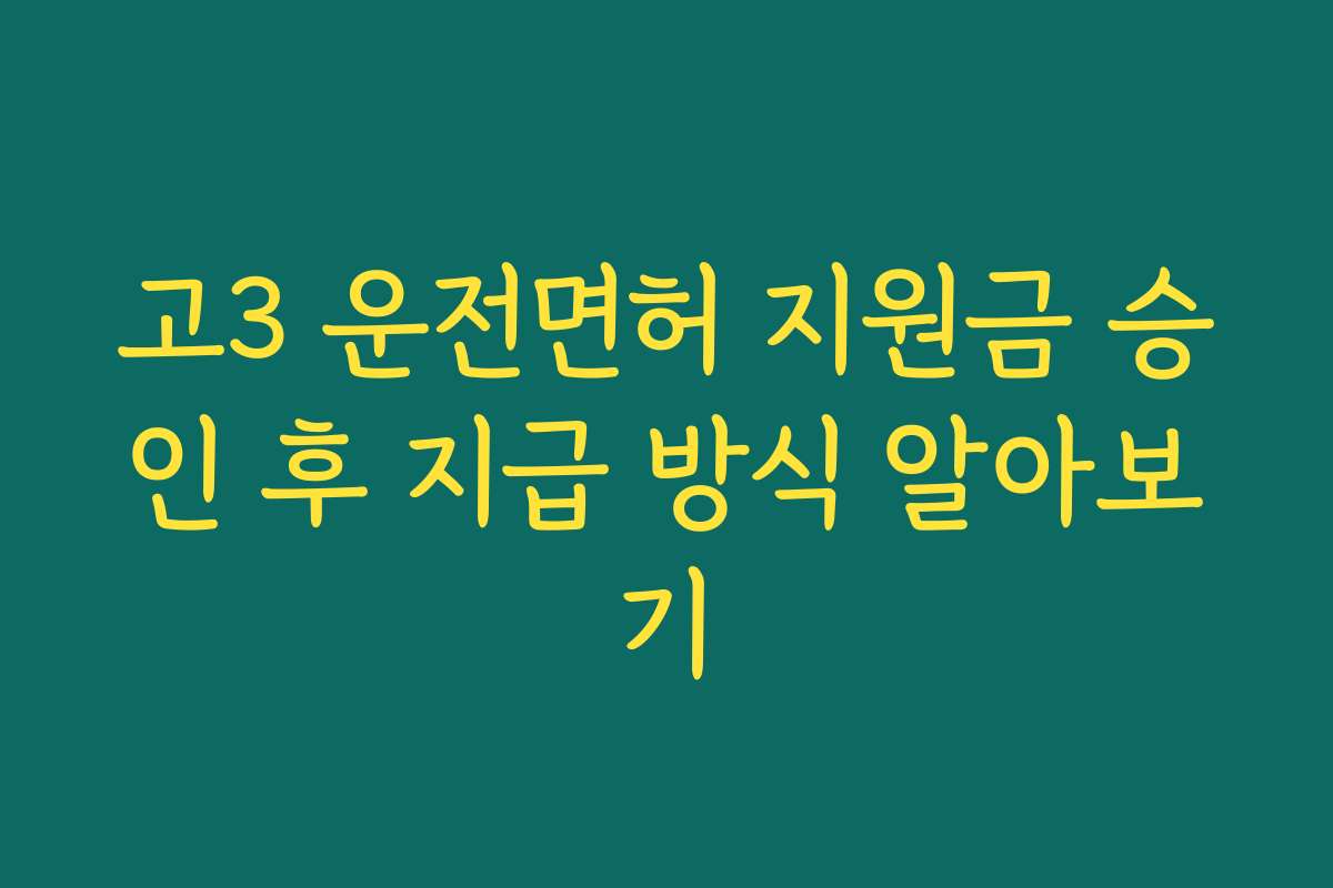고3 운전면허 지원금 승인 후 지급 방식 알아보기