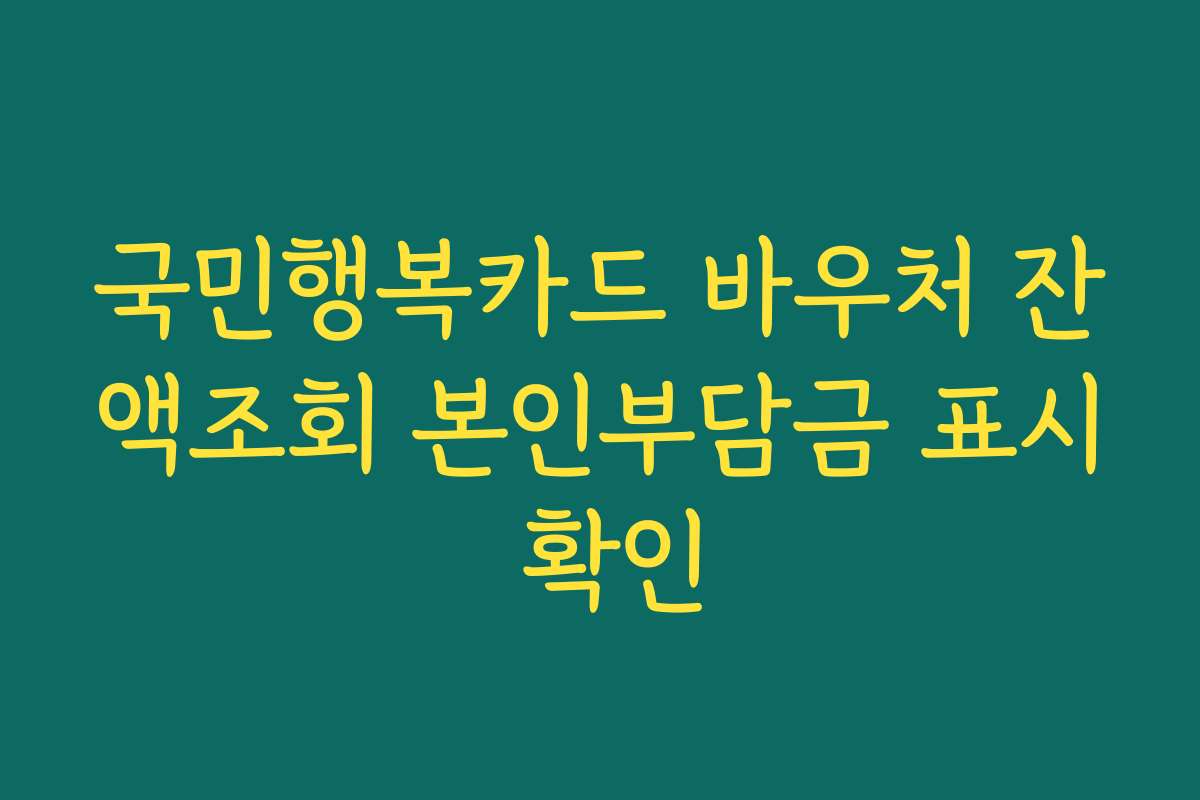 국민행복카드 바우처 잔액조회 본인부담금 표시 확인