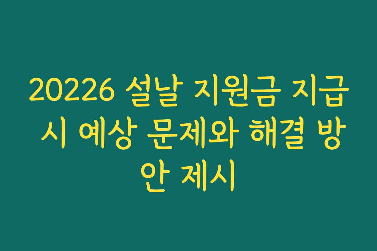20226 설날 지원금 지급 시 예상 문제와 해결 방안 제시 20226 설날 지원금 지급 시 예상 문제와 해결 방안 제시