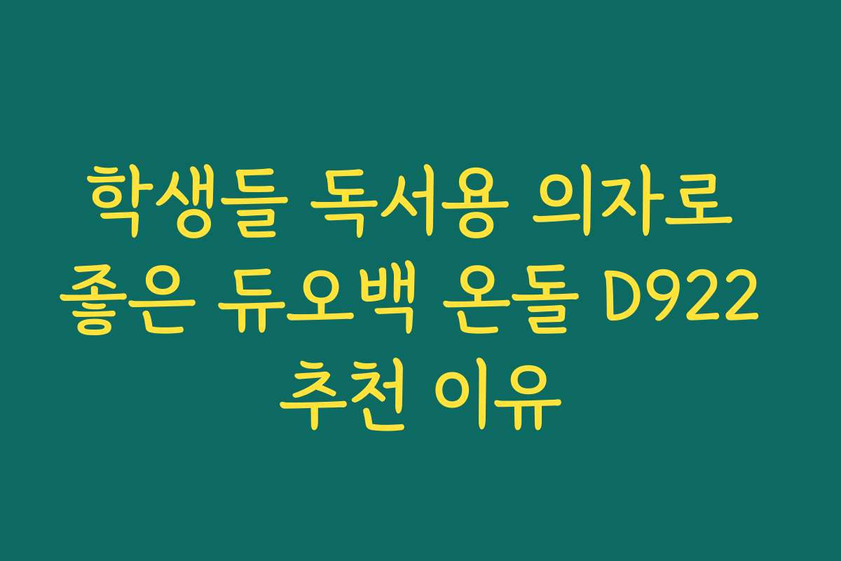 학생들 독서용 의자로 좋은 듀오백 온돌 D922 추천 이유