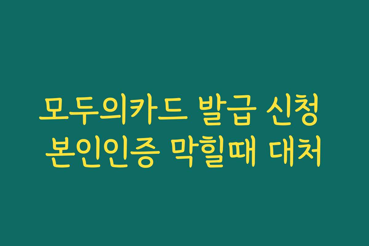모두의카드 발급 신청 본인인증 막힐때 대처