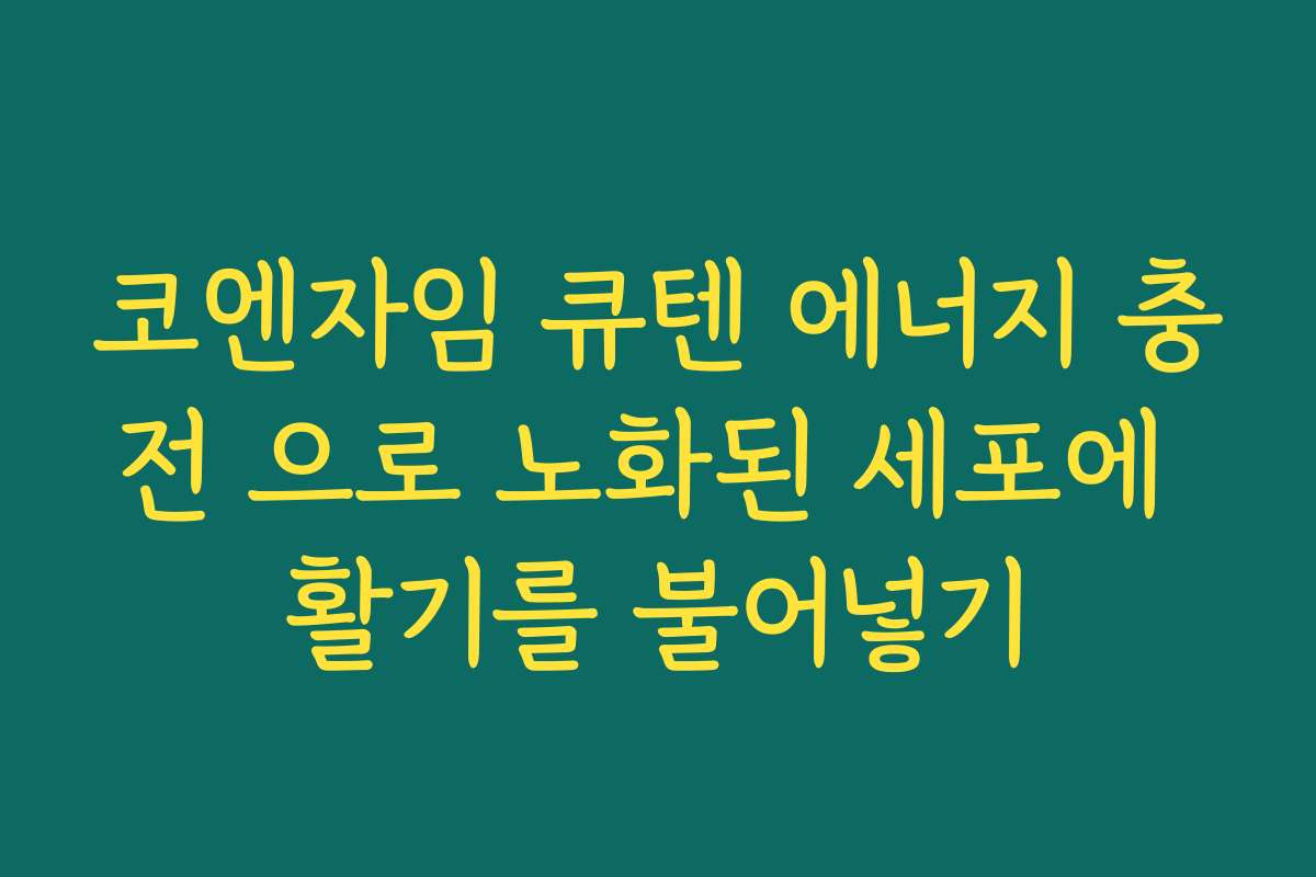 코엔자임 큐텐 에너지 충전 으로 노화된 세포에 활기를 불어넣기