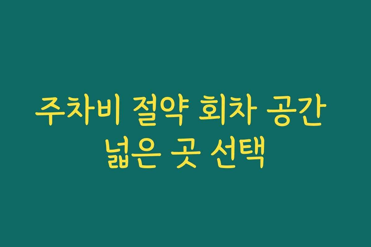 주차비 절약 회차 공간 넓은 곳 선택