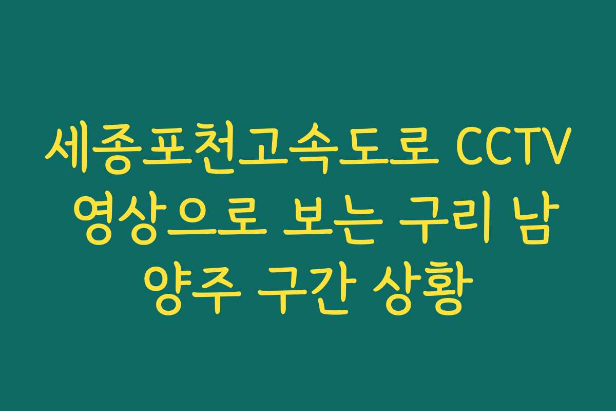 세종포천고속도로 CCTV 영상으로 보는 구리 남양주 구간 상황