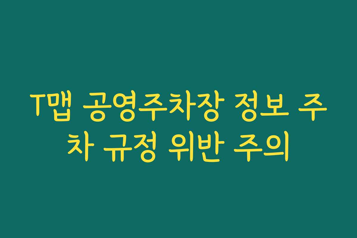 T맵 공영주차장 정보 주차 규정 위반 주의