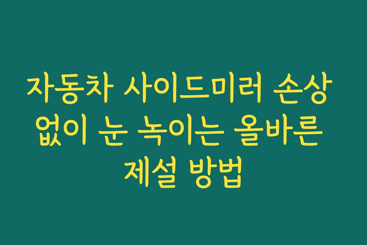 자동차 사이드미러 손상 없이 눈 녹이는 올바른 제설 방법
