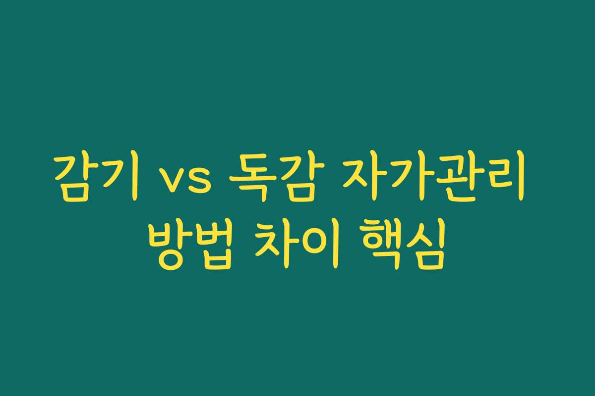 감기 vs 독감 자가관리 방법 차이 핵심