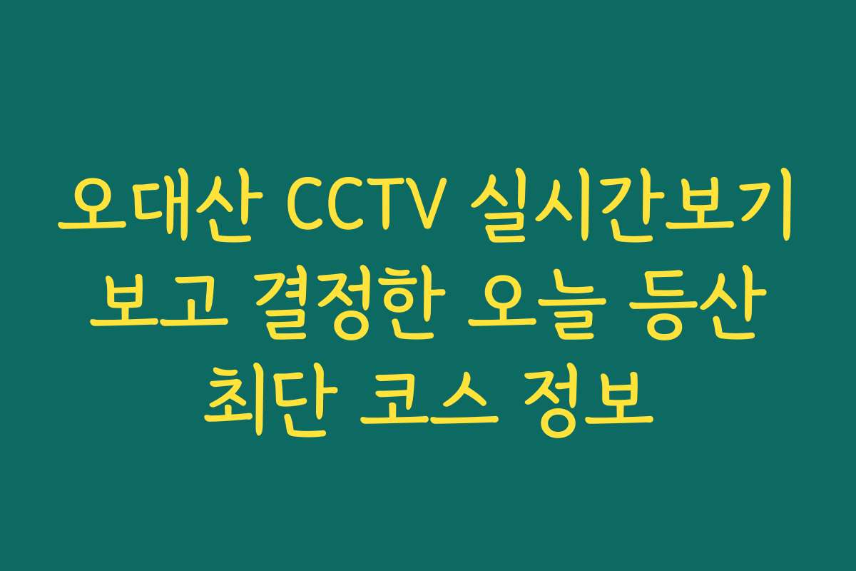 오대산 CCTV 실시간보기 보고 결정한 오늘 등산 최단 코스 정보
