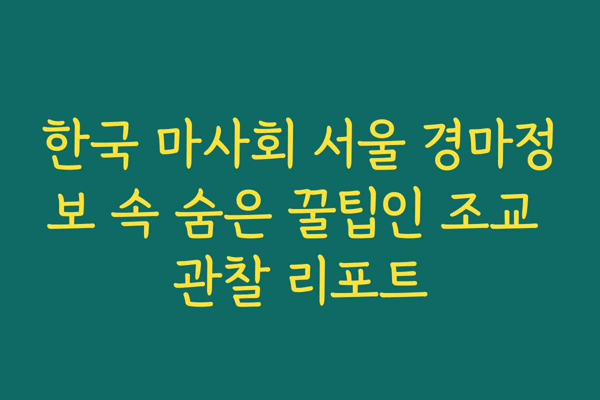 한국 마사회 서울 경마정보 속 숨은 꿀팁인 조교 관찰 리포트