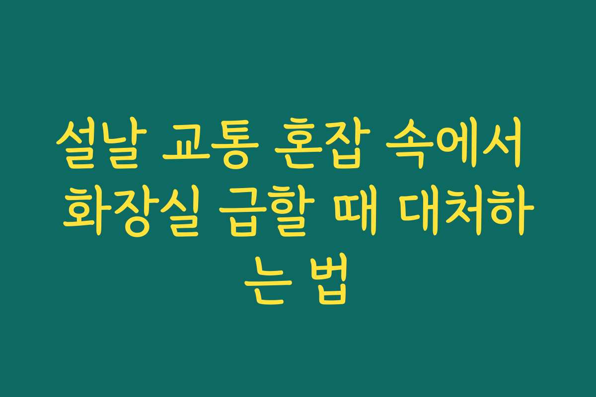 설날 교통 혼잡 속에서 화장실 급할 때 대처하는 법