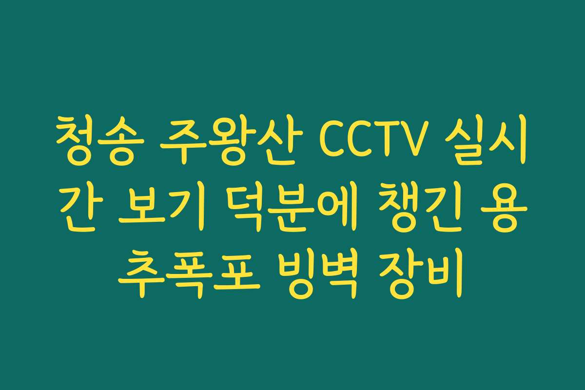 청송 주왕산 CCTV 실시간 보기 덕분에 챙긴 용추폭포 빙벽 장비