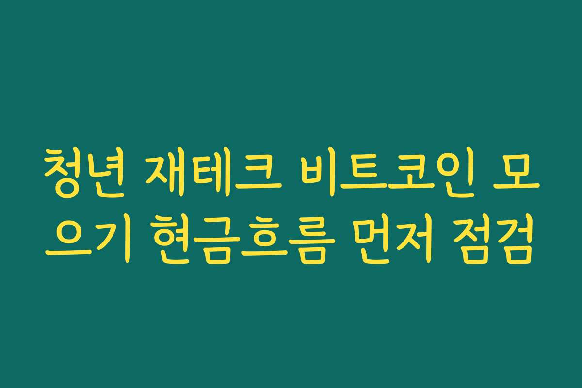 청년 재테크 비트코인 모으기 현금흐름 먼저 점검