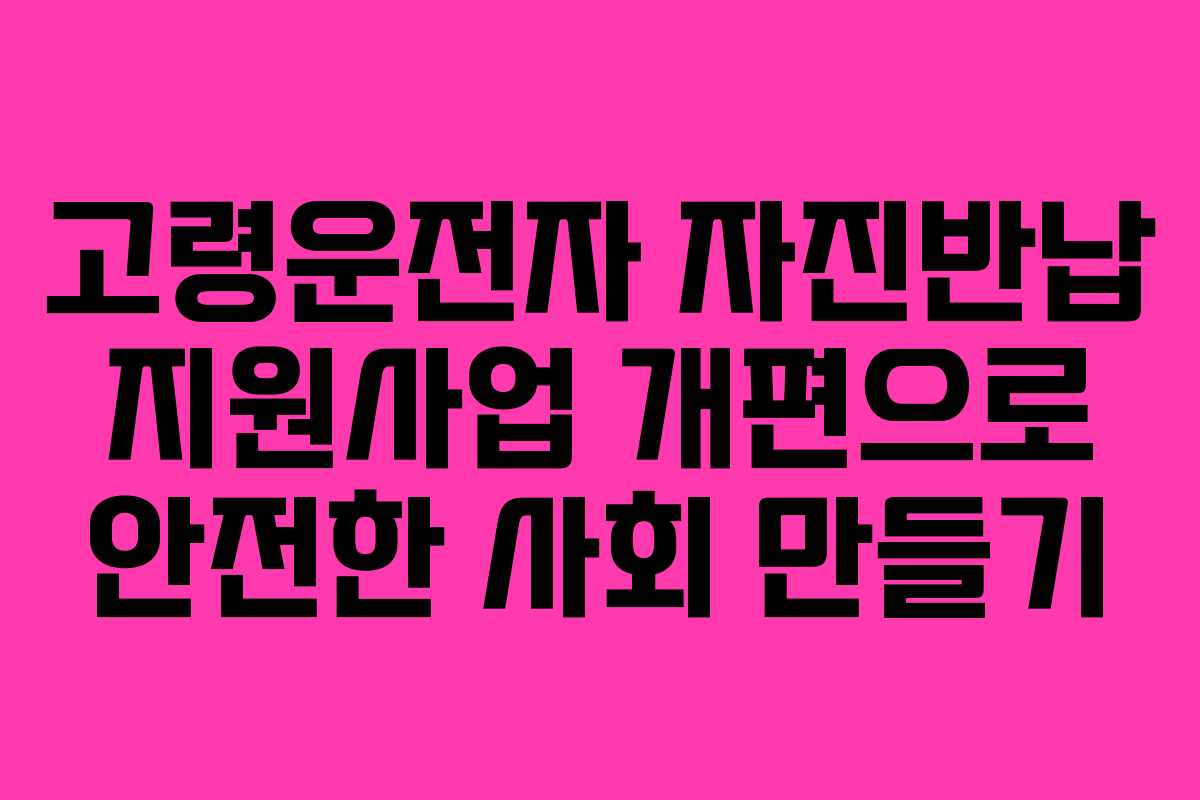 고령운전자 자진반납 지원사업 개편으로 안전한 사회 만들기