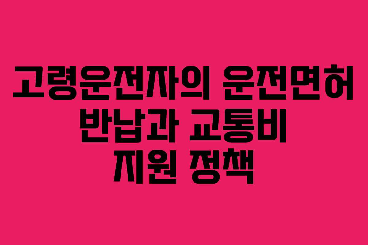 고령운전자의 운전면허 반납과 교통비 지원 정책