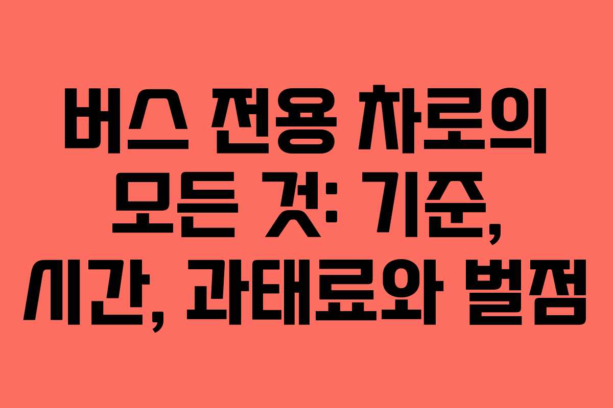 버스 전용 차로의 모든 것: 기준, 시간, 과태료와 벌점