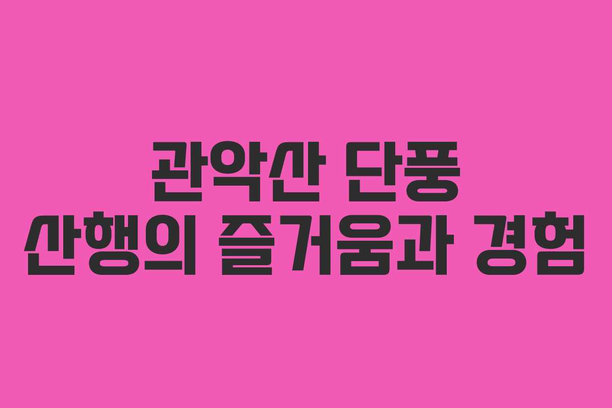 관악산 단풍 산행의 즐거움과 경험