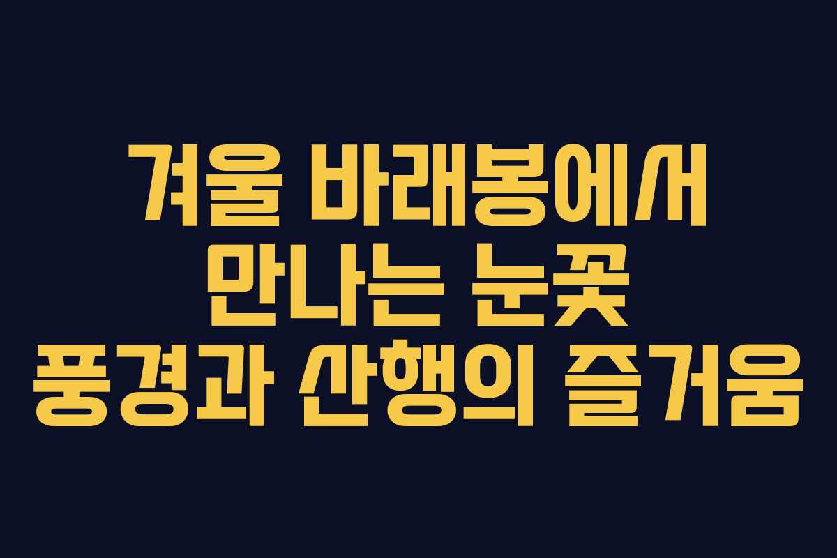 겨울 바래봉에서 만나는 눈꽃 풍경과 산행의 즐거움