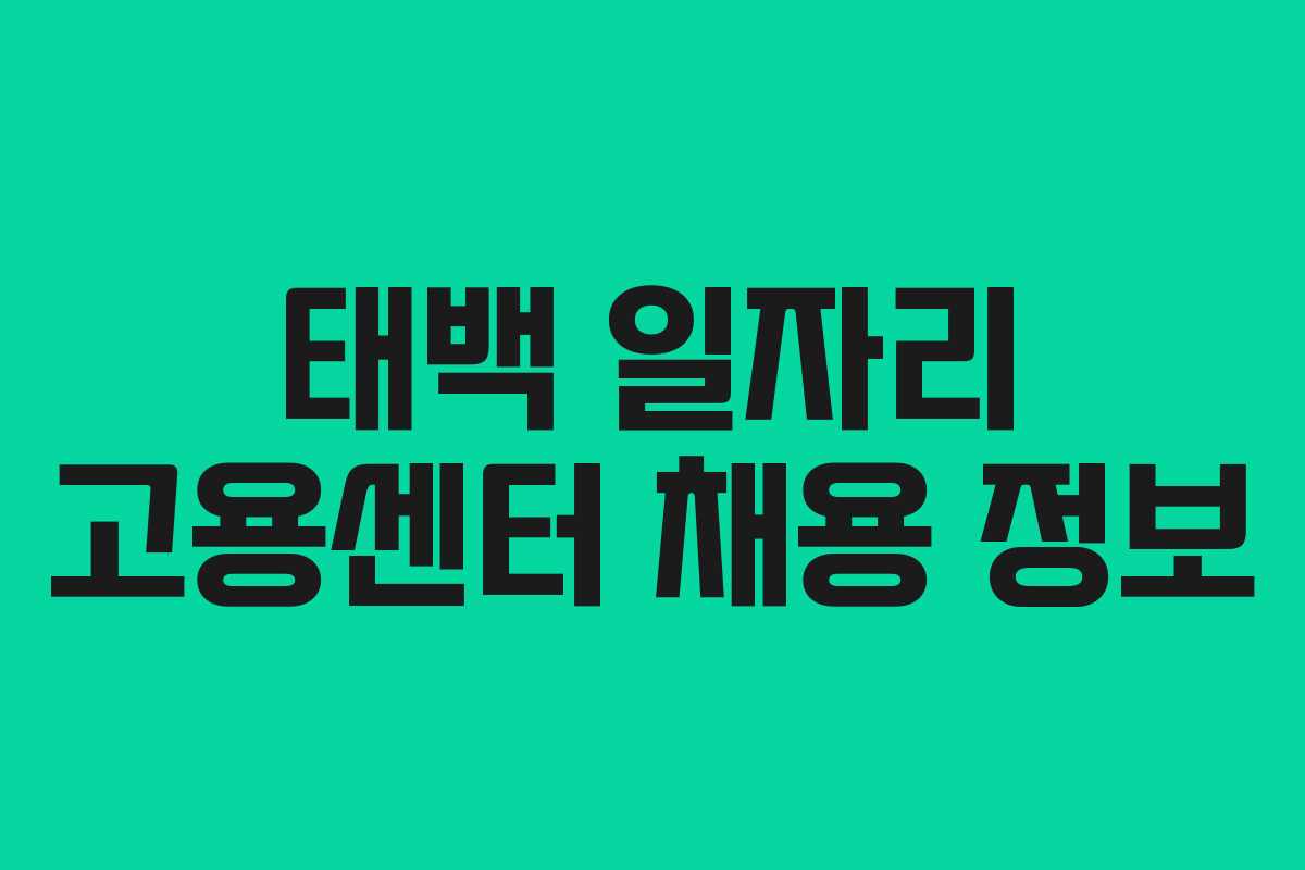 태백 일자리 고용센터 채용 정보
