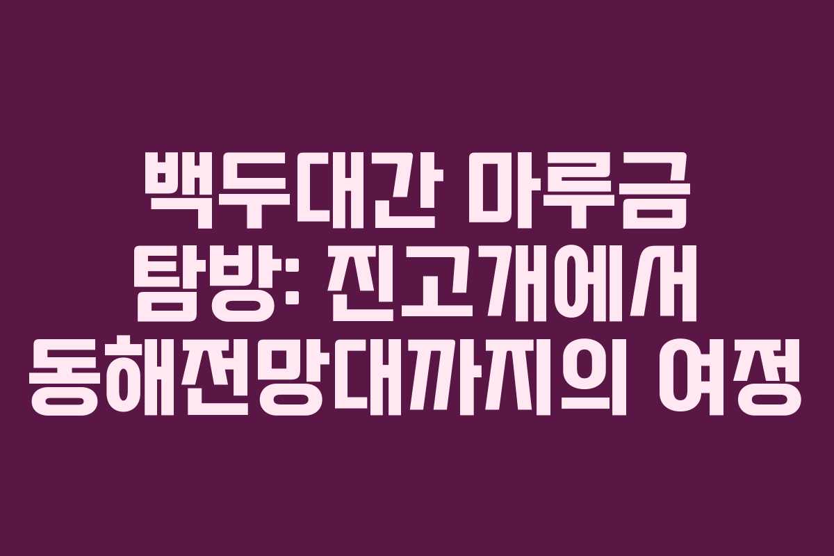 백두대간 마루금 탐방: 진고개에서 동해전망대까지의 여정