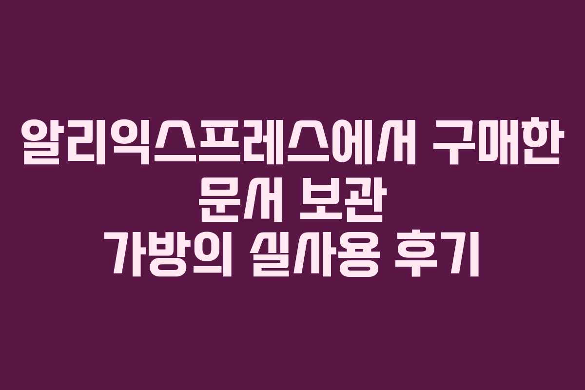 알리익스프레스에서 구매한 문서 보관 가방의 실사용 후기 알리익스프레스에서 구매한 문서 보관 가방의 실사용 후기