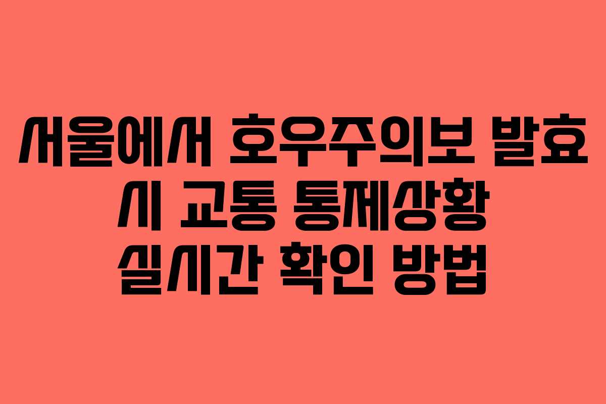 서울에서 호우주의보 발효 시 교통 통제상황 실시간 확인 방법