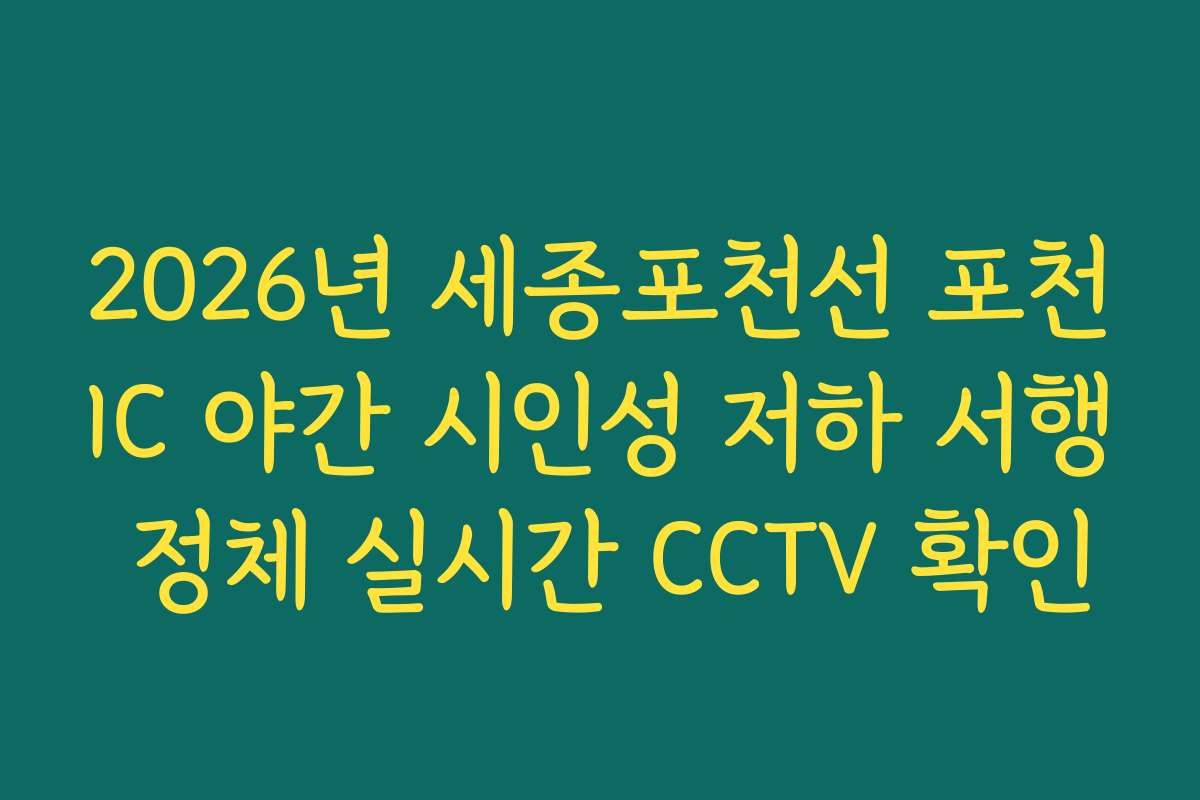 2026년 세종포천선 포천IC 야간 시인성 저하 서행 정체 실시간 CCTV 확인