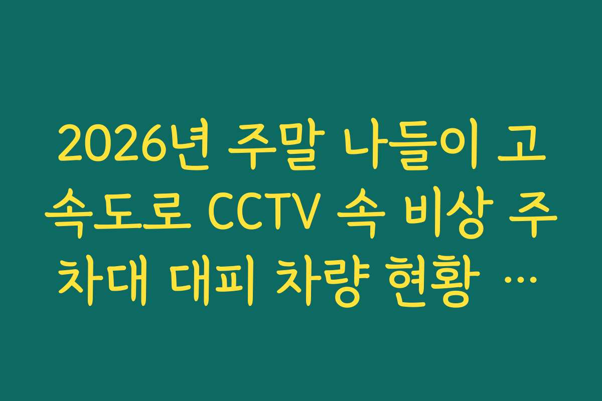 2026년 주말 나들이 고속도로 CCTV 속 비상 주차대 대피 차량 현황 가이드