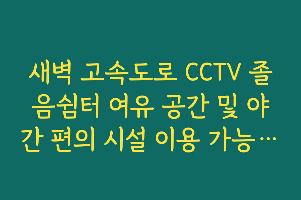 새벽 고속도로 CCTV 졸음쉼터 여유 공간 및 야간 편의 시설 이용 가능 여부