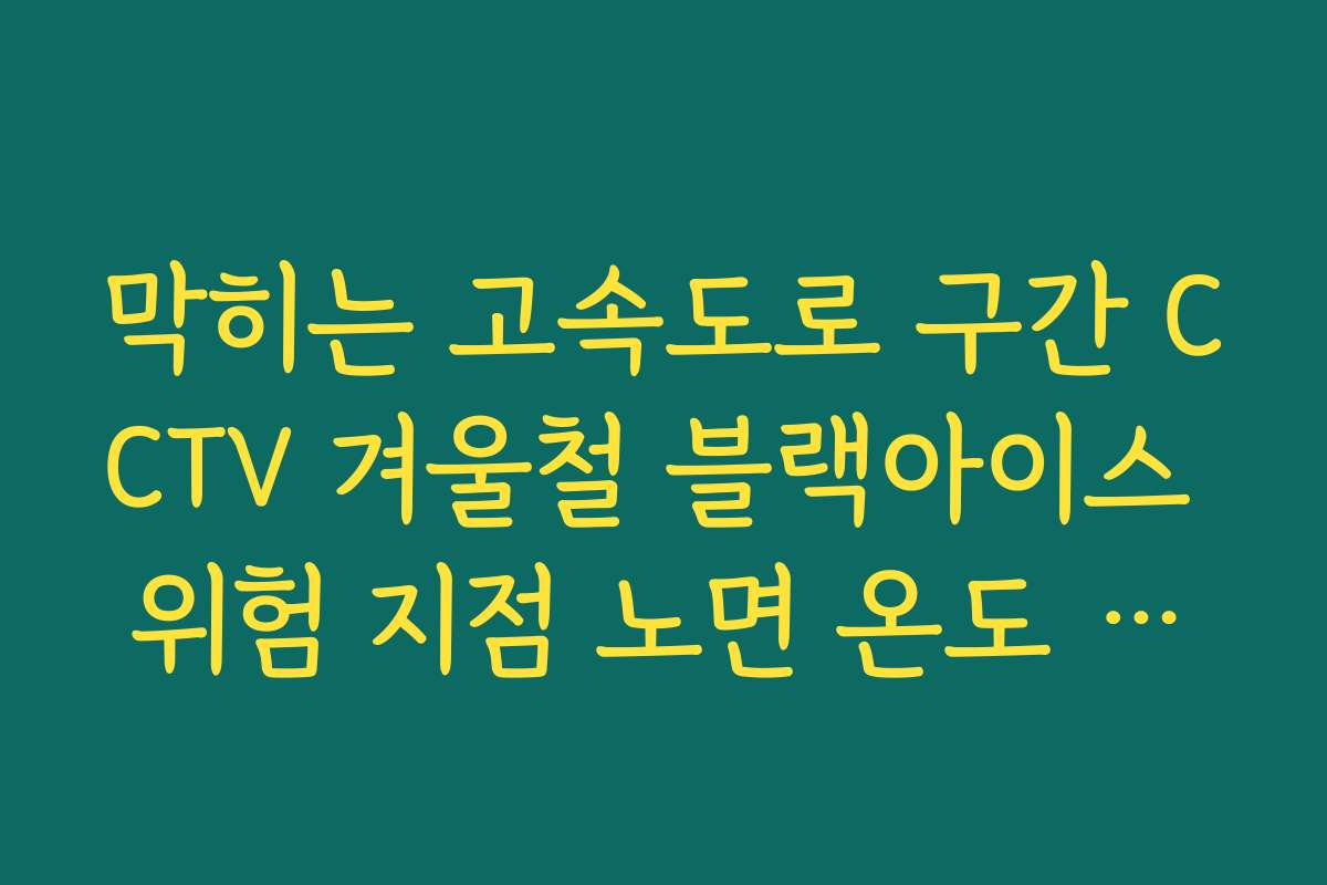 막히는 고속도로 구간 CCTV 겨울철 블랙아이스 위험 지점 노면 온도 정보