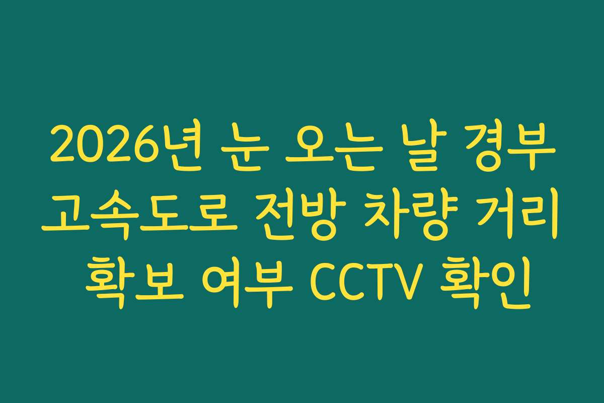 2026년 눈 오는 날 경부고속도로 전방 차량 거리 확보 여부 CCTV 확인