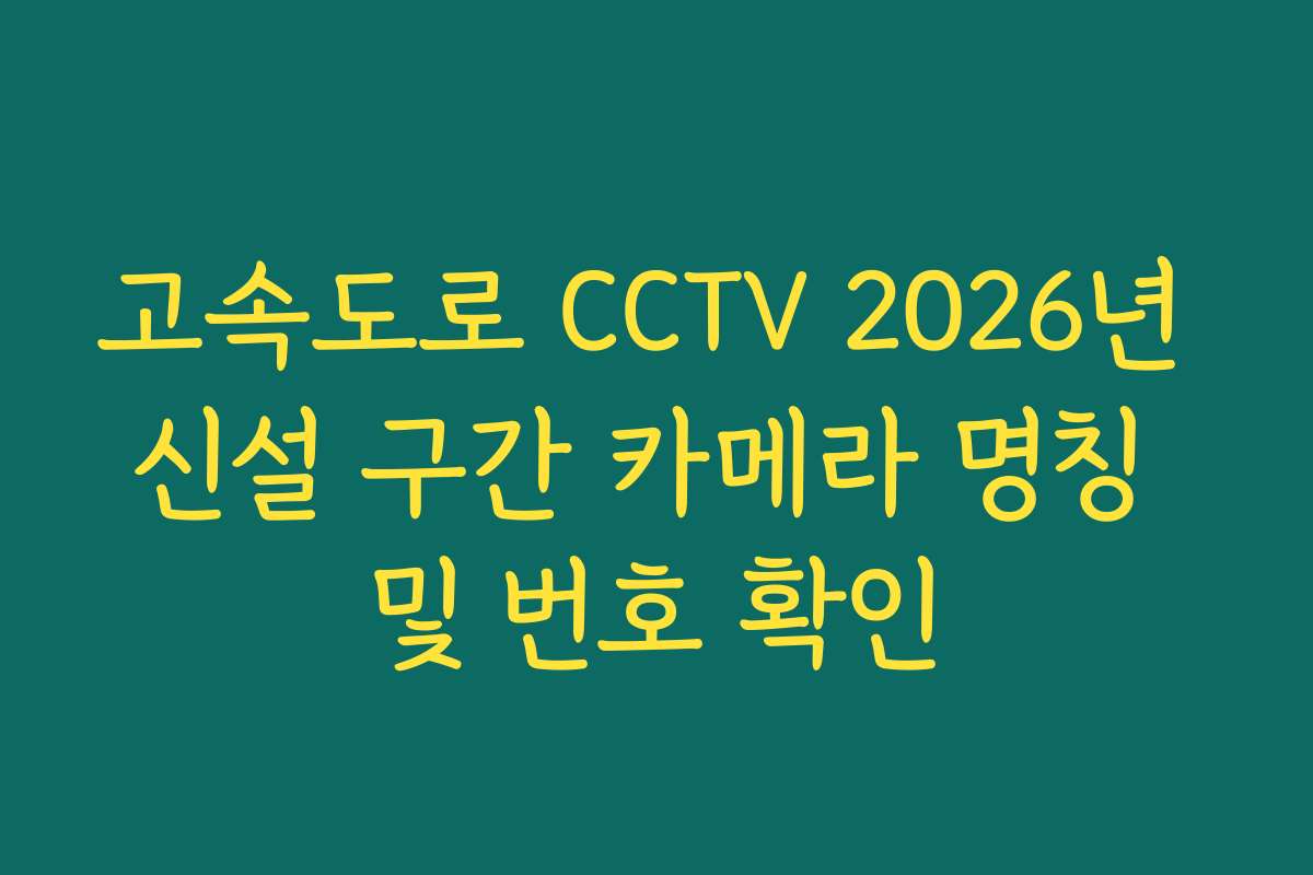 고속도로 CCTV 2026년 신설 구간 카메라 명칭 및 번호 확인