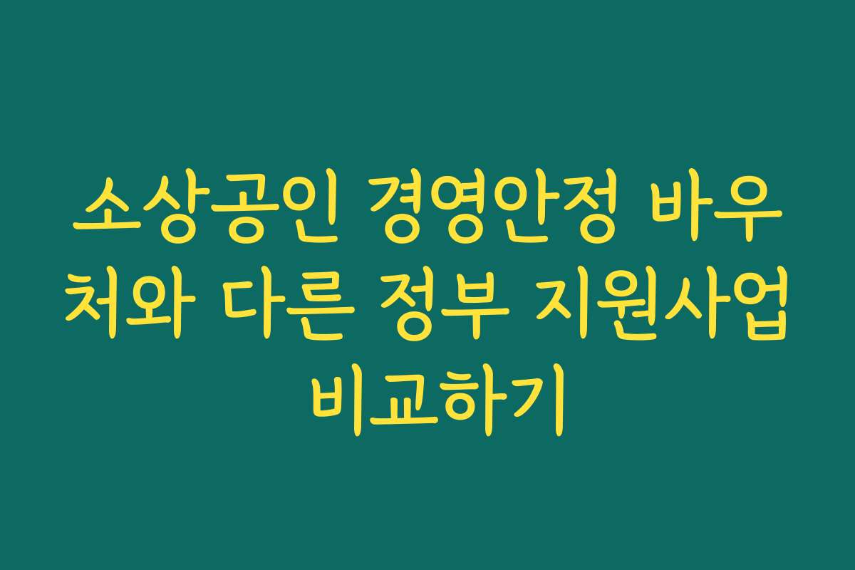 소상공인 경영안정 바우처와 다른 정부 지원사업 비교하기