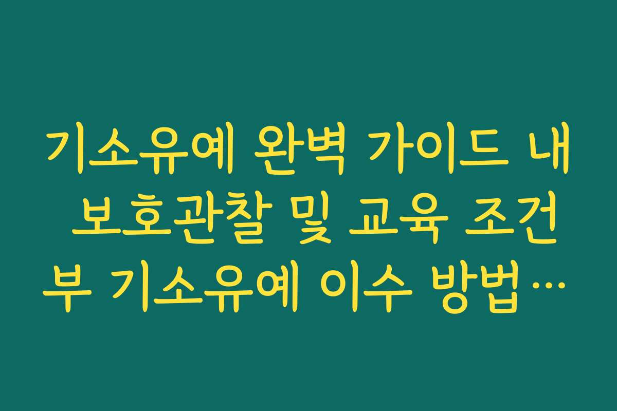 기소유예 완벽 가이드 내 보호관찰 및 교육 조건부 기소유예 이수 방법 정리