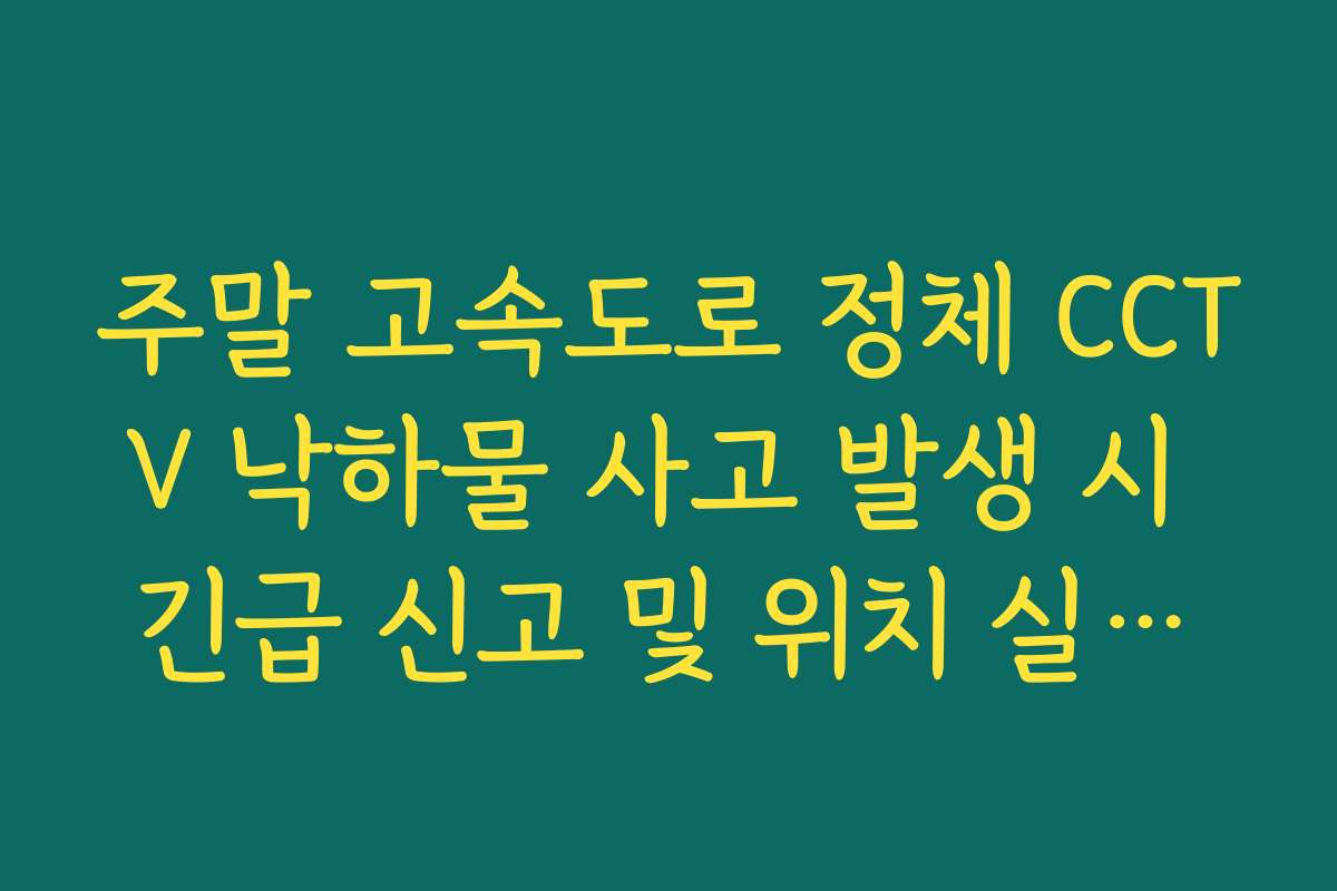 주말 고속도로 정체 CCTV 낙하물 사고 발생 시 긴급 신고 및 위치 실시간 파악