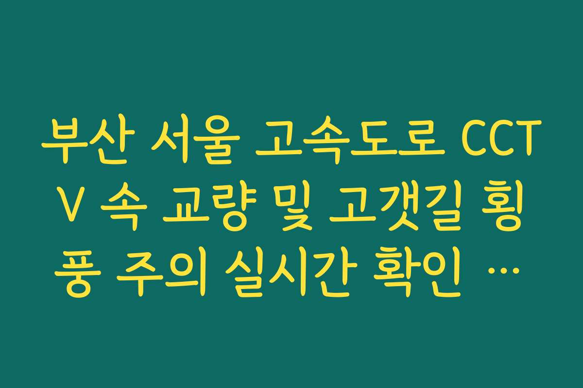 부산 서울 고속도로 CCTV 속 교량 및 고갯길 횡풍 주의 실시간 확인 방법