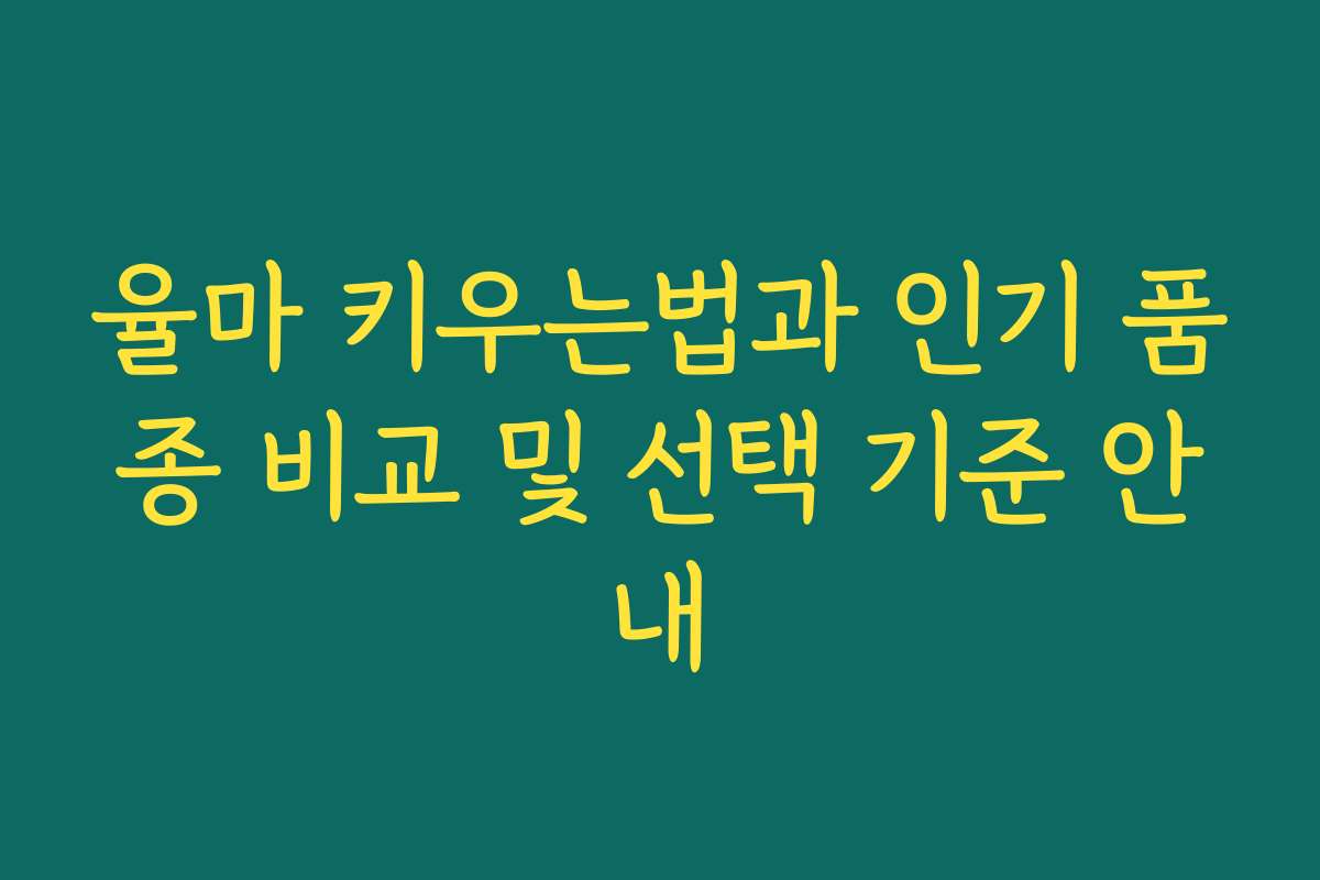 율마 키우는법과 인기 품종 비교 및 선택 기준 안내 율마 키우는법과 인기 품종 비교 및 선택 기준 안내