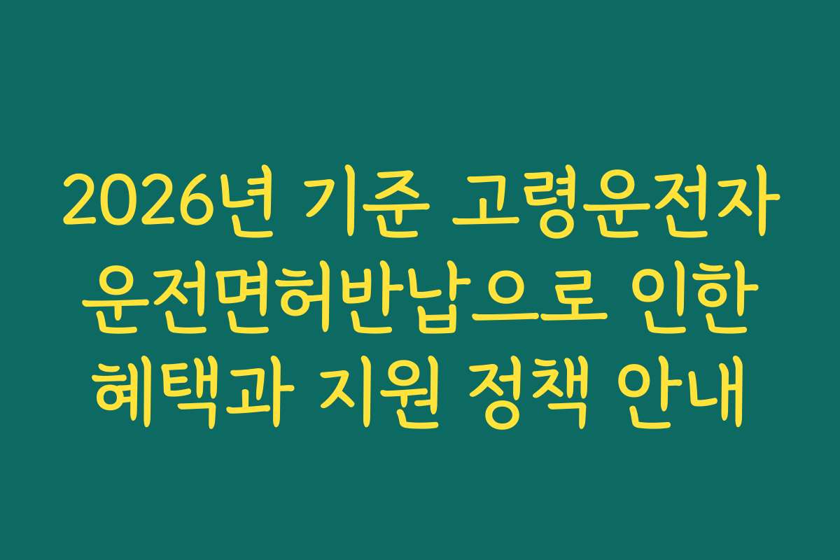 2026년 기준 고령운전자 운전면허반납으로 인한 혜택과 지원 정책 안내