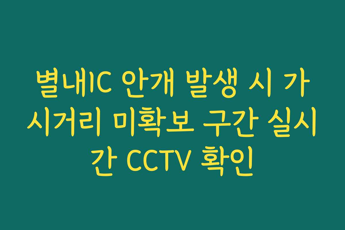 별내IC 안개 발생 시 가시거리 미확보 구간 실시간 CCTV 확인